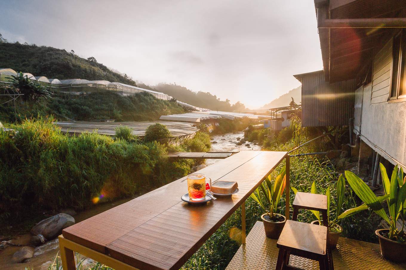 cameron highlands budget hotel