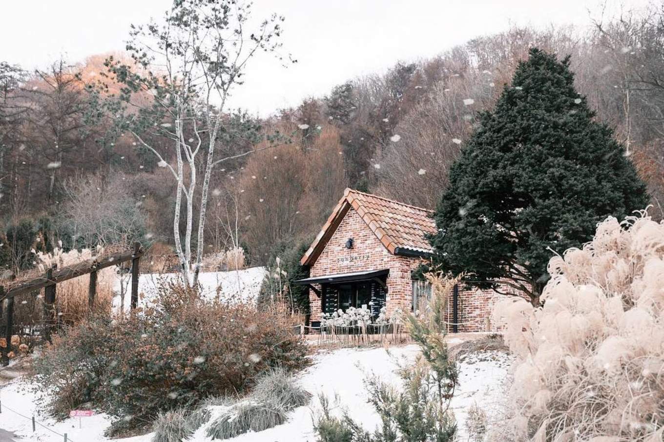 South Korea Is The Winter Wonderland Getaway You Want And Need