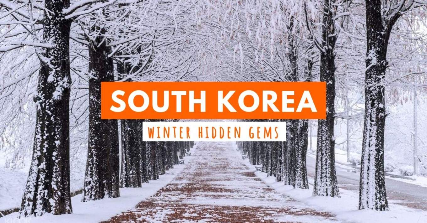 Uncover These Hidden Gems In South Korea For An Extraordinary