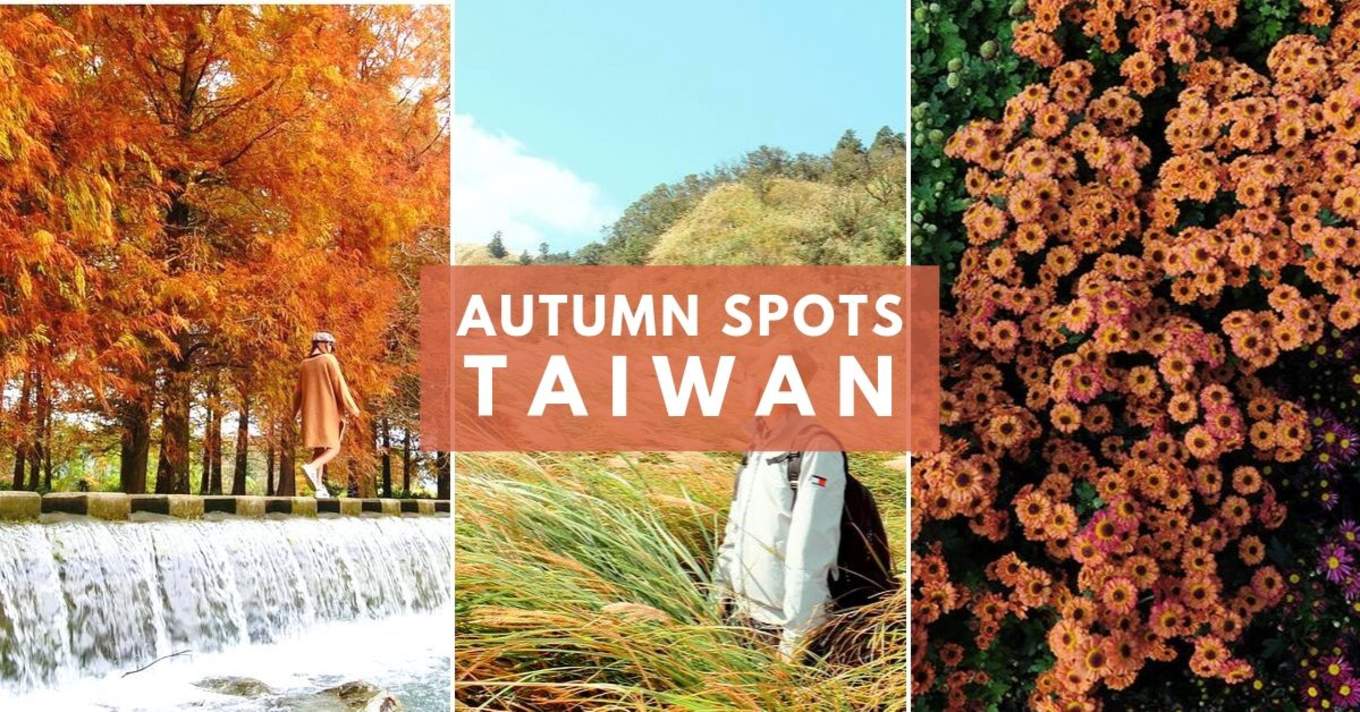 Leaf Your Worries Behind With These Autumn Sightseeing Spots In Taiwan