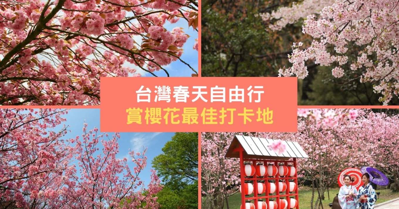年台湾樱花季 春天必打卡樱花之地 Klook博客