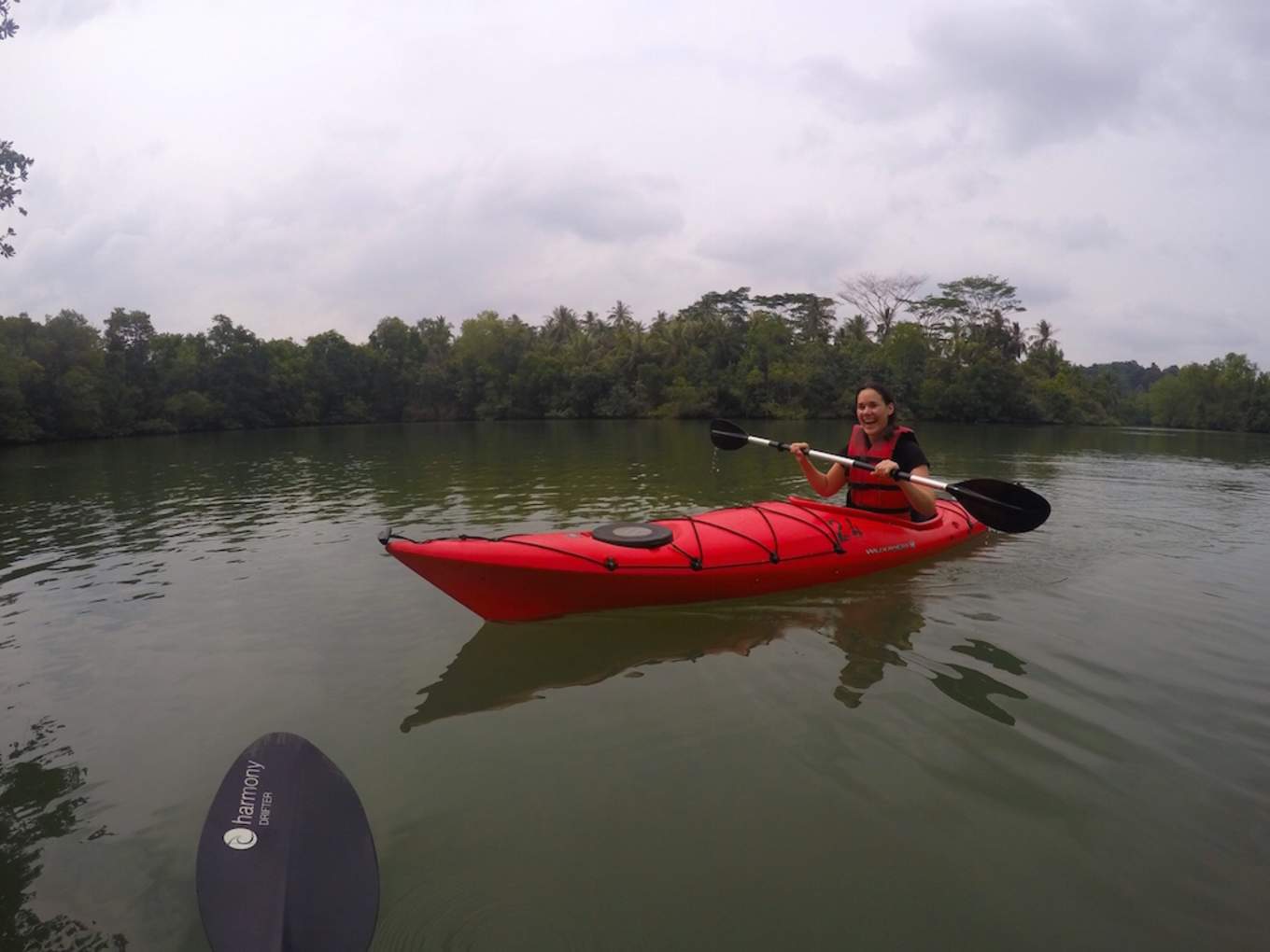 Tried and Tested Mangrove Kayaking in Singapore Klook Travel Blog