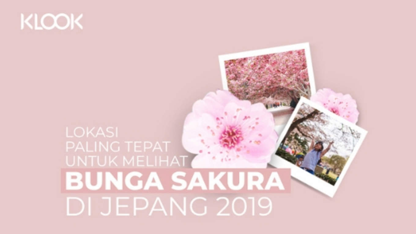 Lokasi Paling Tepat Untuk Melihat Bunga Sakura Di Jepang 2019