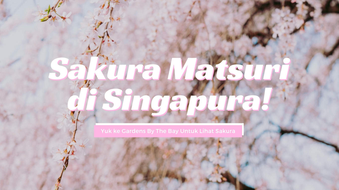 Psst Di Singapura Ada Sakura Matsuri Loh Cari Tahu Yuk Klook Blog