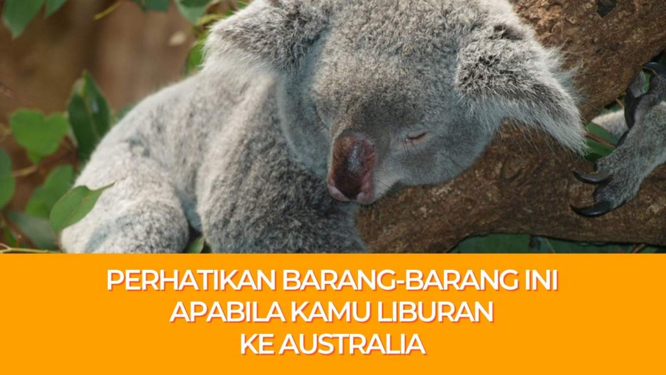 Barang Barang Yang Diizinkan Dan Dilarang Untuk Dibawa Ke Australia Klook Blog