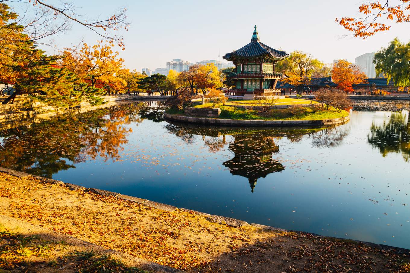 Panduan Menentukan Waktu Terbaik Mengunjungi Korea Selatan