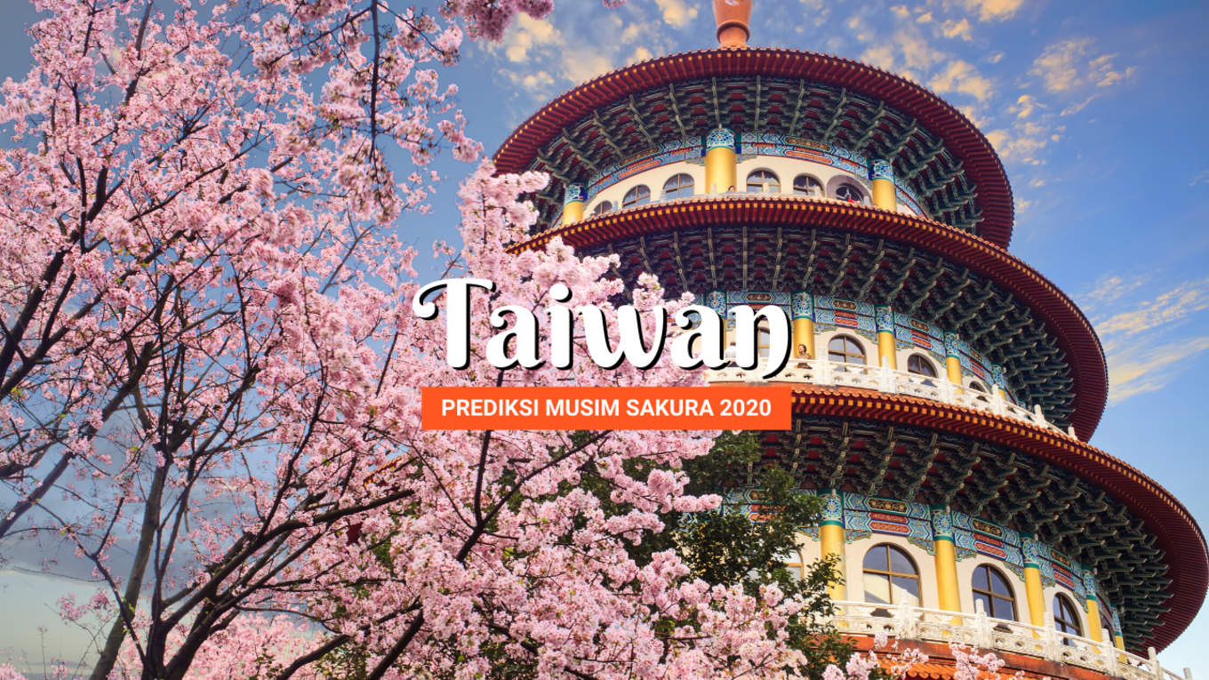 Prediksi Musim Bunga Sakura Di Taiwan Tahun 2020 Klook Blog