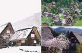 Shirakawa-go Travel Guide – How To Go, Best Time To Visit, Must-Eat & More