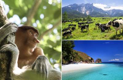 12 Family Holiday Destinations In Malaysia For All Types Of Travellers