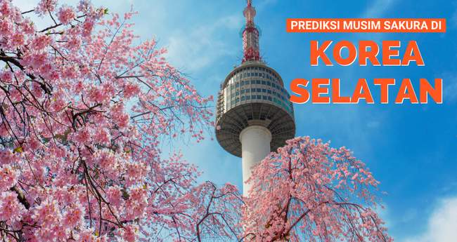 Prediksi Musim Bunga Sakura Korea Selatan Tahun 2020 Klook Blog