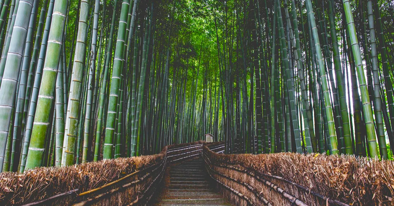 japan ghibli2
