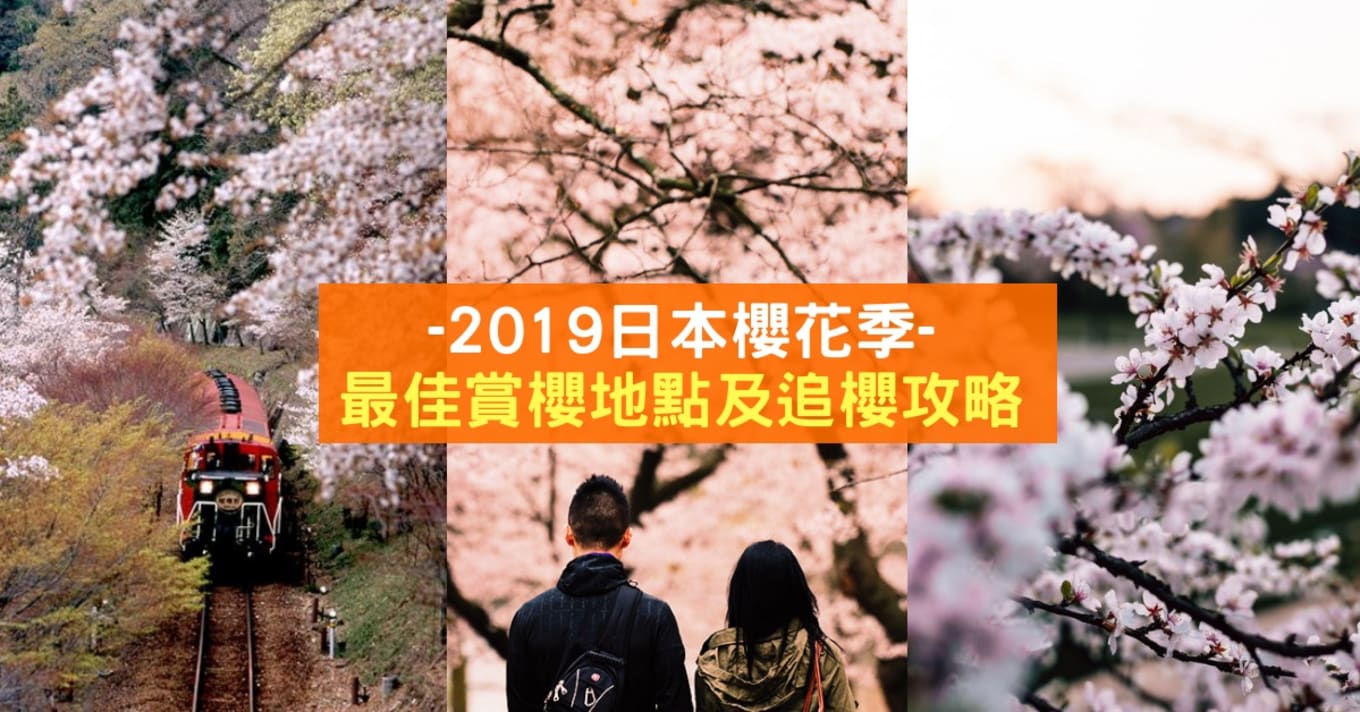 Blogheader Japan Cherry Blossom Forecast