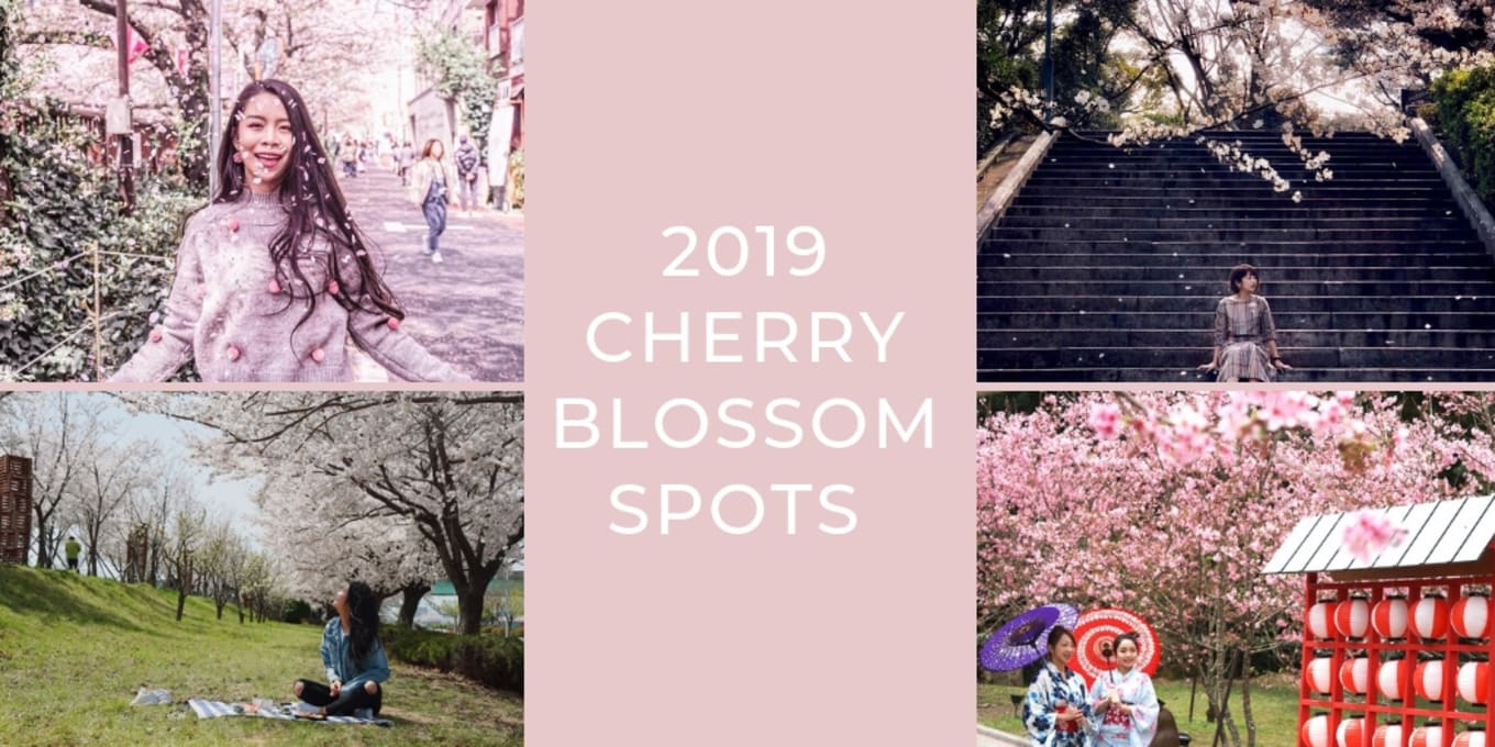 COVER Cherry Blossom Spots 2019