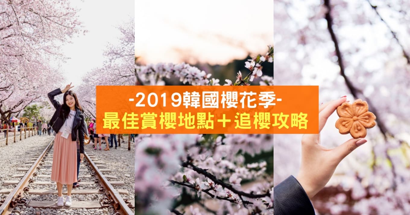 blogheader cherry blossom forecast korea 2019