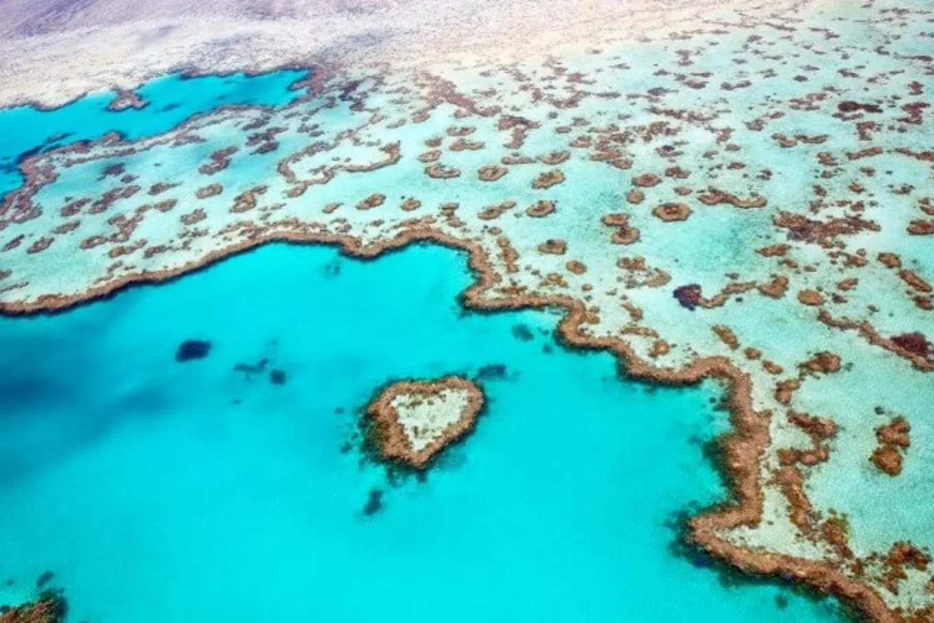 Great Barrier Reef Guide Heart shaped reef