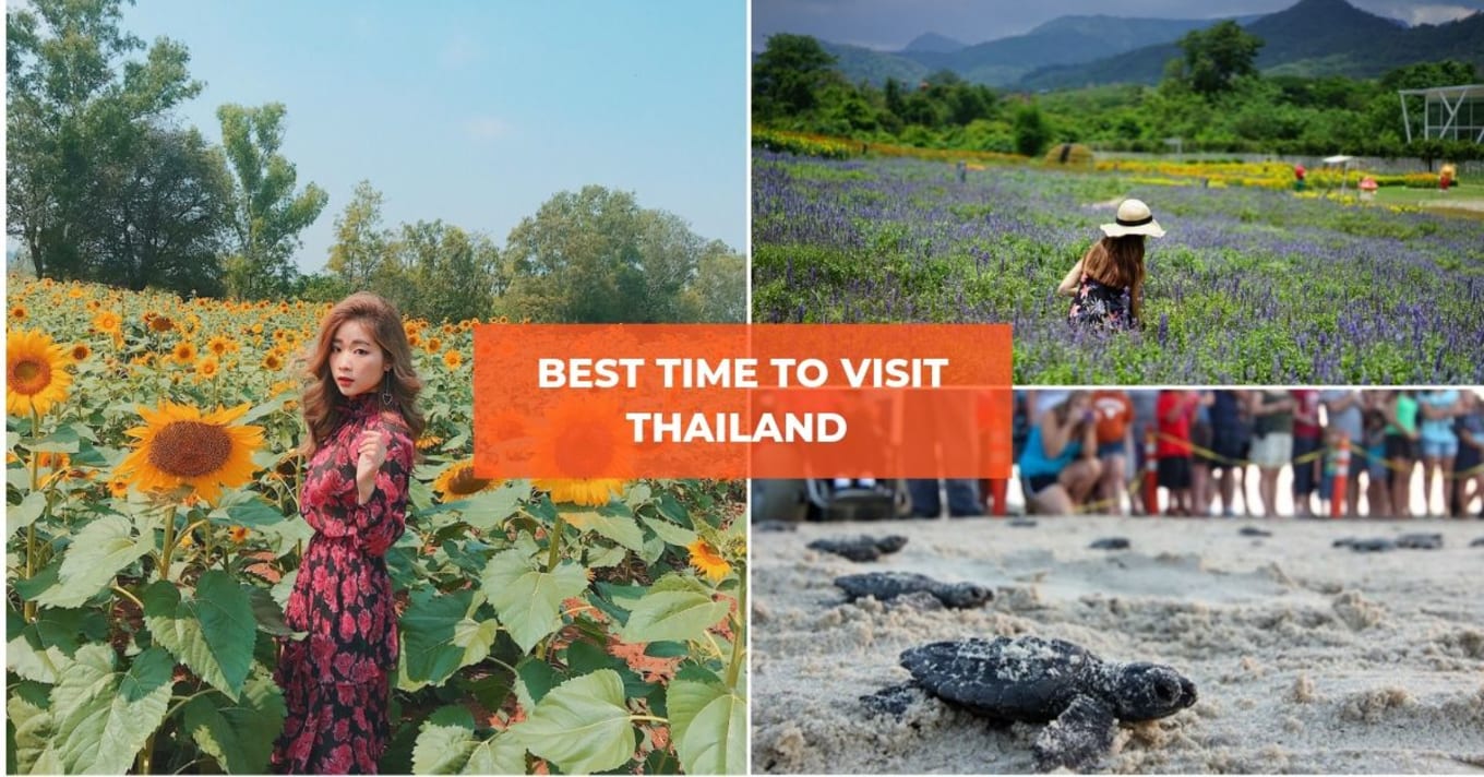 best time to visit thailand 13