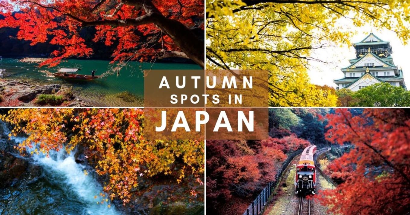 japan autumn cover image