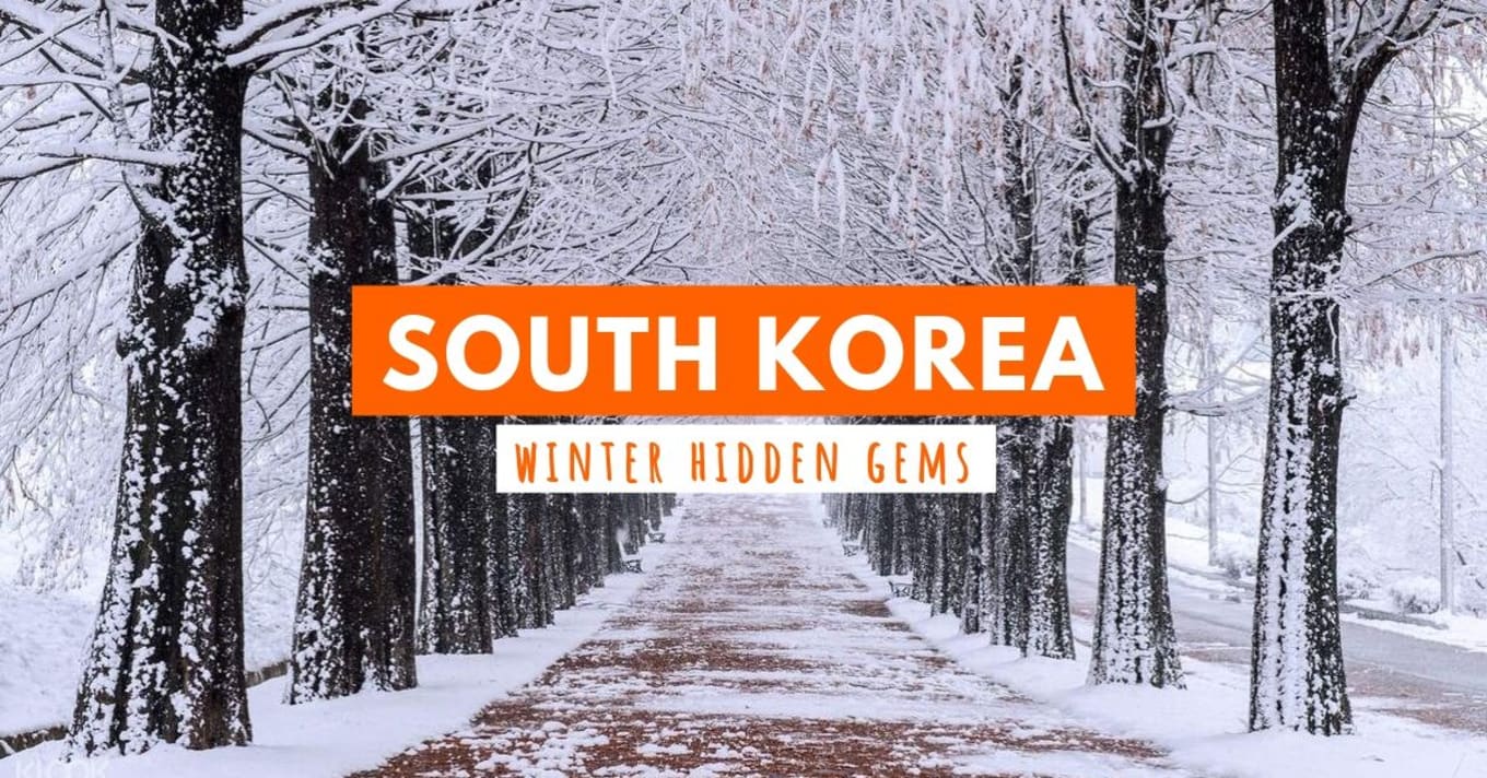 korea winter gems cover image