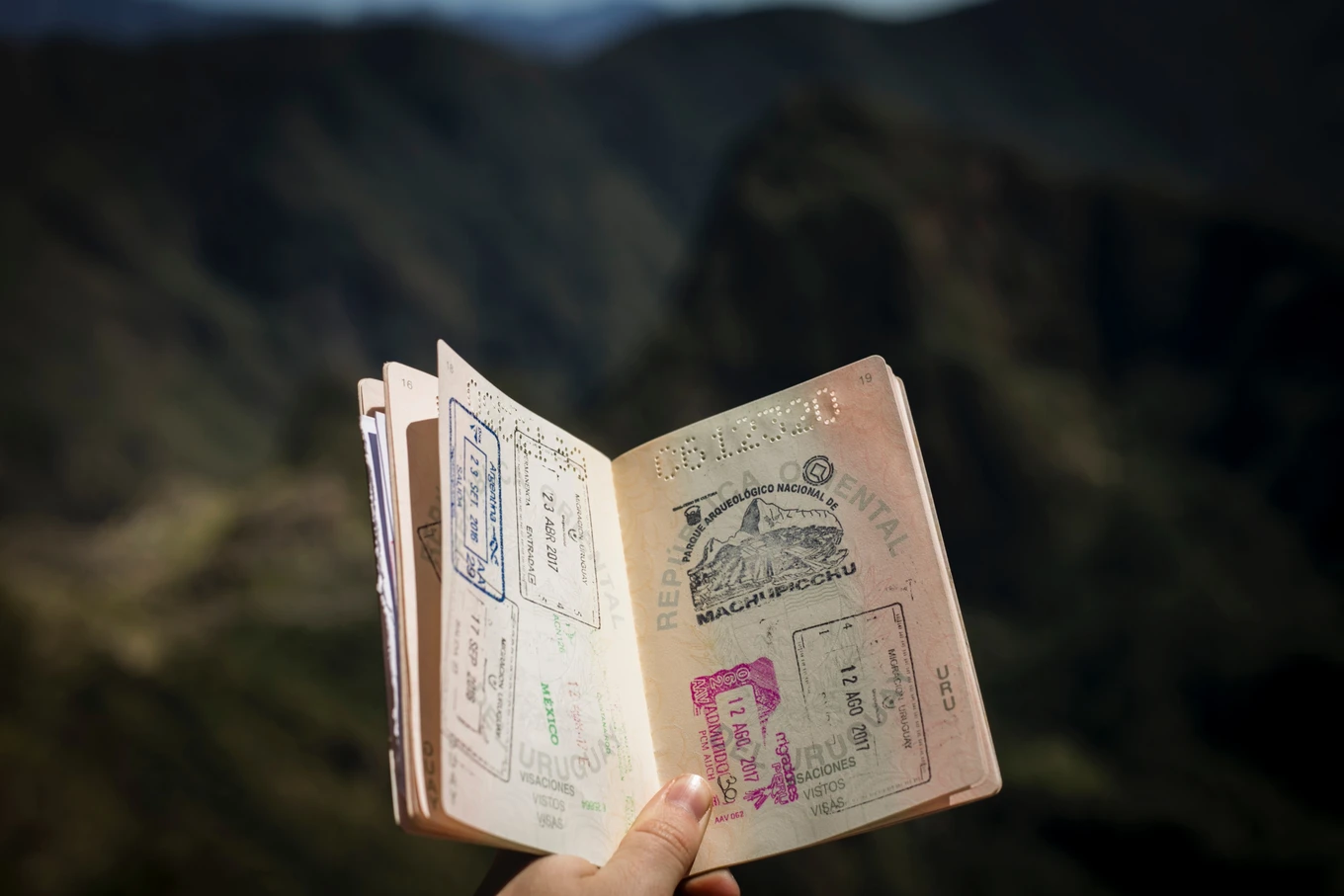agus dietrich eUjufrdx bM unsplash 1