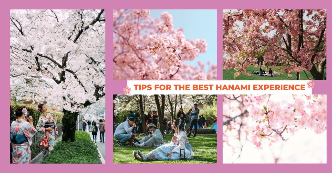 TIPS FOR THE BEST HANAMI EXPERIENCE