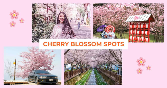 Welcome cherry blossom season with new drinks at Starbucks Japan :  Starbucks Stories Asia