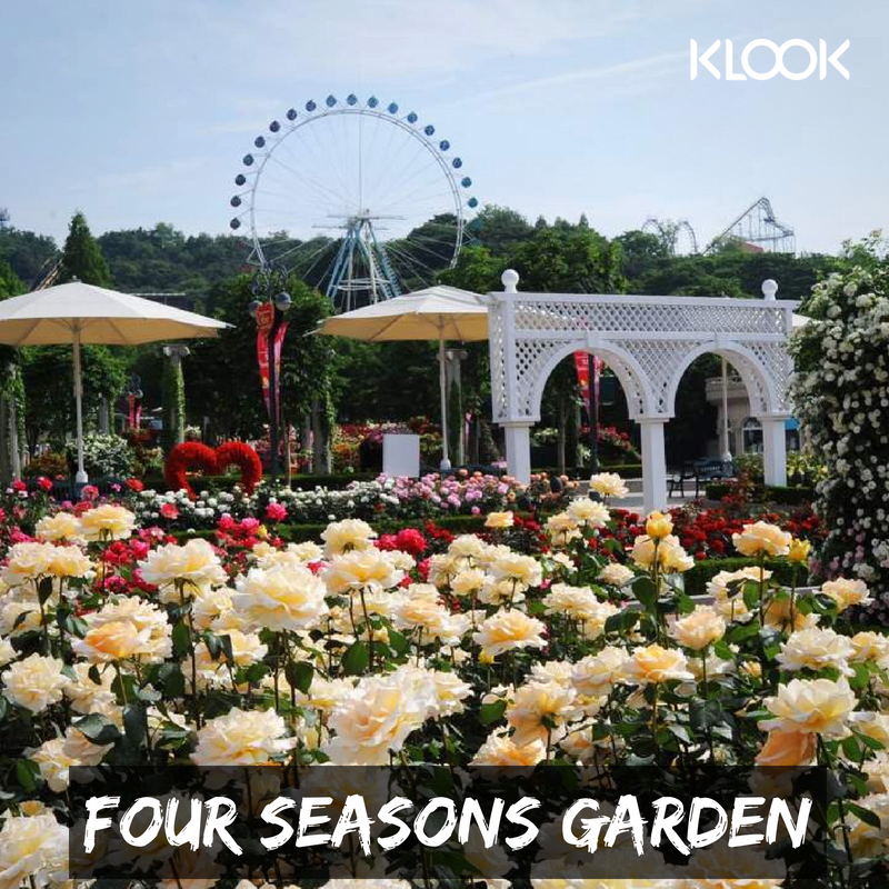 12 เครื่องเล่นที่ห้ามพลาด เมื่อไป Everland! Klook Travel Blog