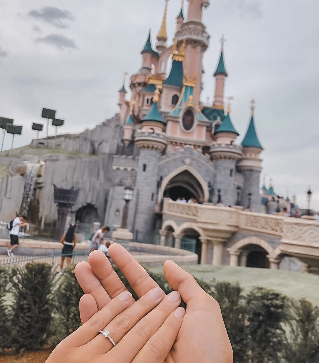 disneyland-proposal