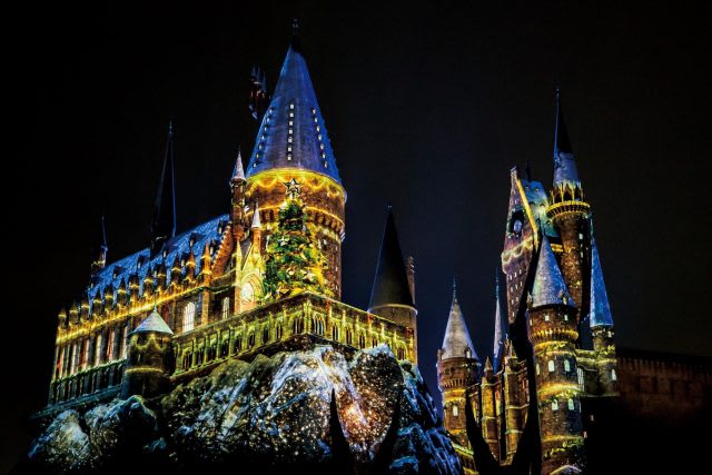 HARRY POTTER characters, names and related indicia are © & ™ Warner Bros. Entertainment Inc. Harry Potter Publishing Rights © JKR. (s19)