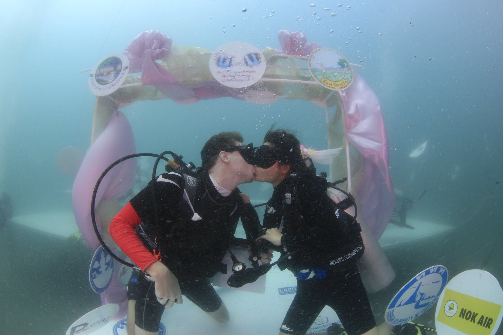 圖 片 來 源 :http://www.underwaterwedding.com/main.php