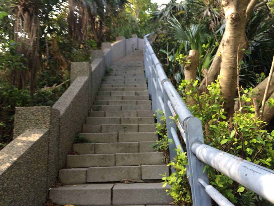 通往長仁社區觀景台的入口,階梯垂直而上