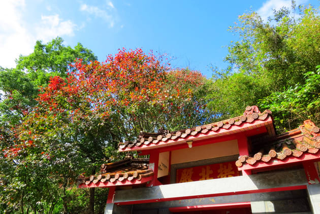 台 北 秘 境 賞 楓 景 點