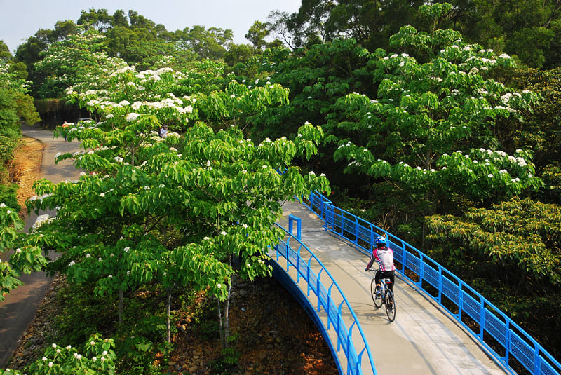 九華山天空步道 ( 圖片來源: 痞客邦 )