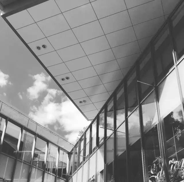 Pic︱instagram@ybai