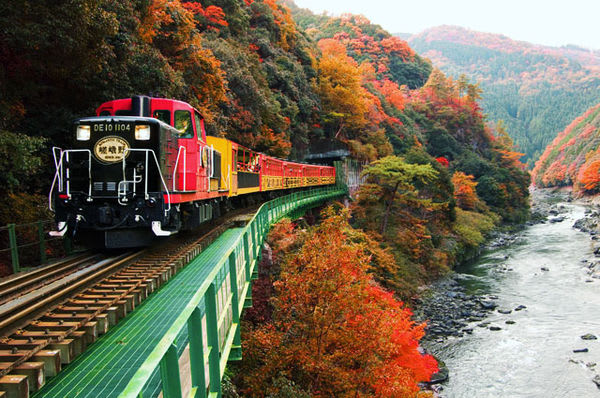 搭 乘 古 老 觀 光 小 火 車 欣 賞 嵐 山 楓 紅