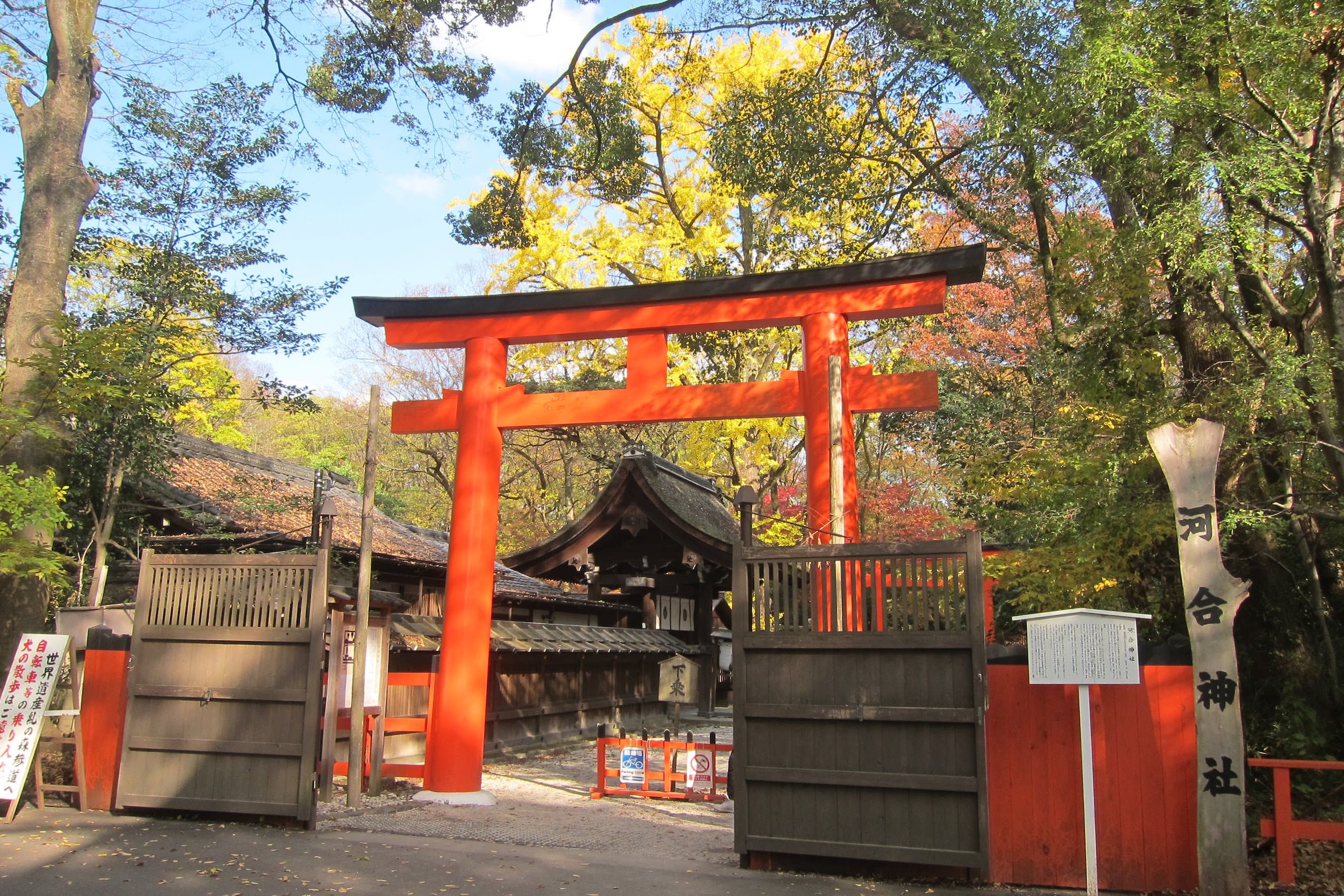 河合神社就在糺之森入口的左手邊 Photographer / safu