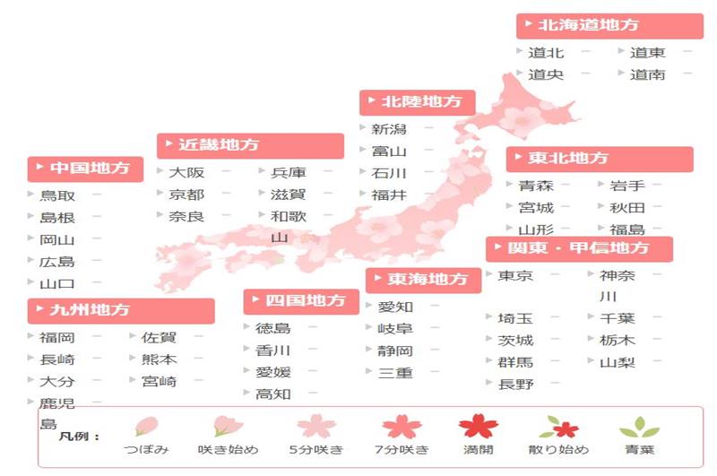 桜開花予想(圖片來源:日本氣象協會)<a href="https://tenki.jp/sakura/">https://tenki.jp/sakura/</a>