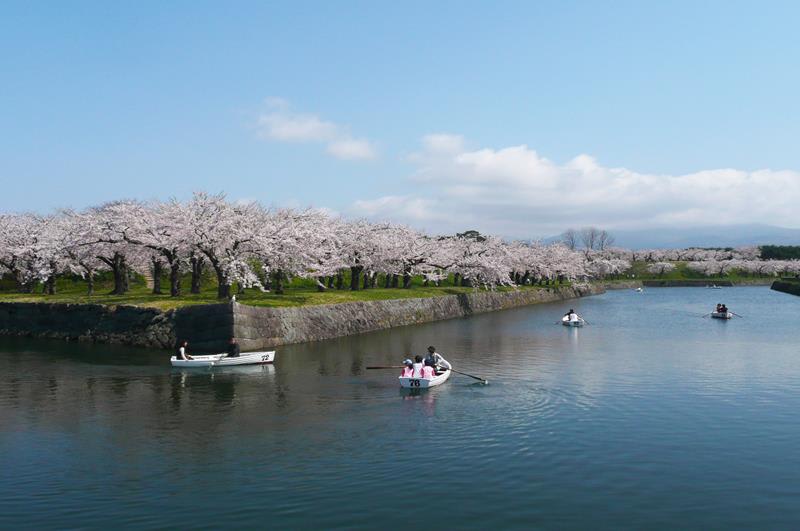 五稜郭公園(照片來源:函館市觀光資訊官方網站Hakodate Photo Library)https://goo.gl/zvHEcD