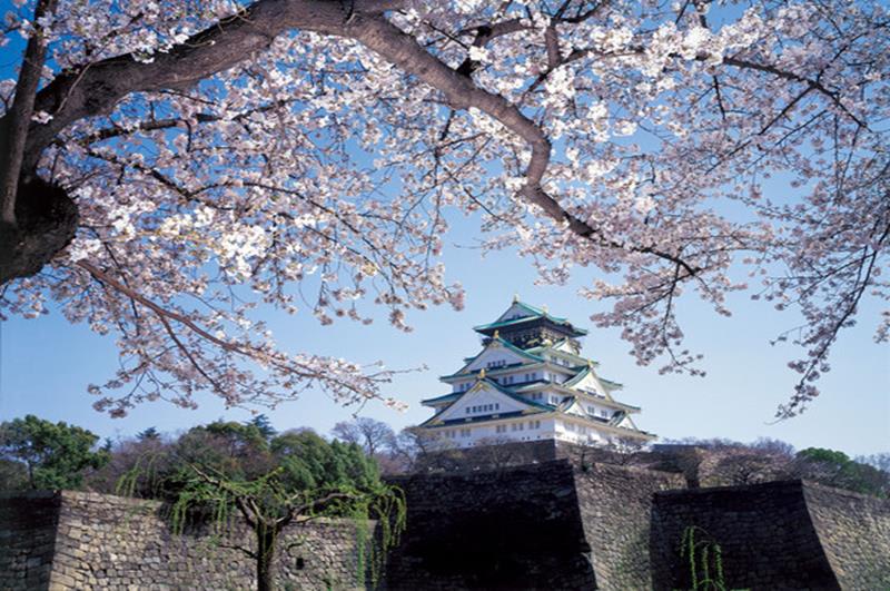 大阪城(照片來源:大阪觀光局PHOTO LIBRARY)http://www.osaka-info.jp/photo_library/
