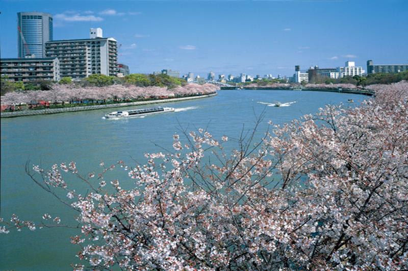 毛馬櫻之宮公園(照片來源:大阪觀光局PHOTO LIBRARY) http://www.osaka-info.jp/photo_library/