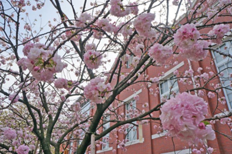 造幣局(照片來源:大阪觀光局PHOTO LIBRARY) http://www.osaka-info.jp/photo_library/
