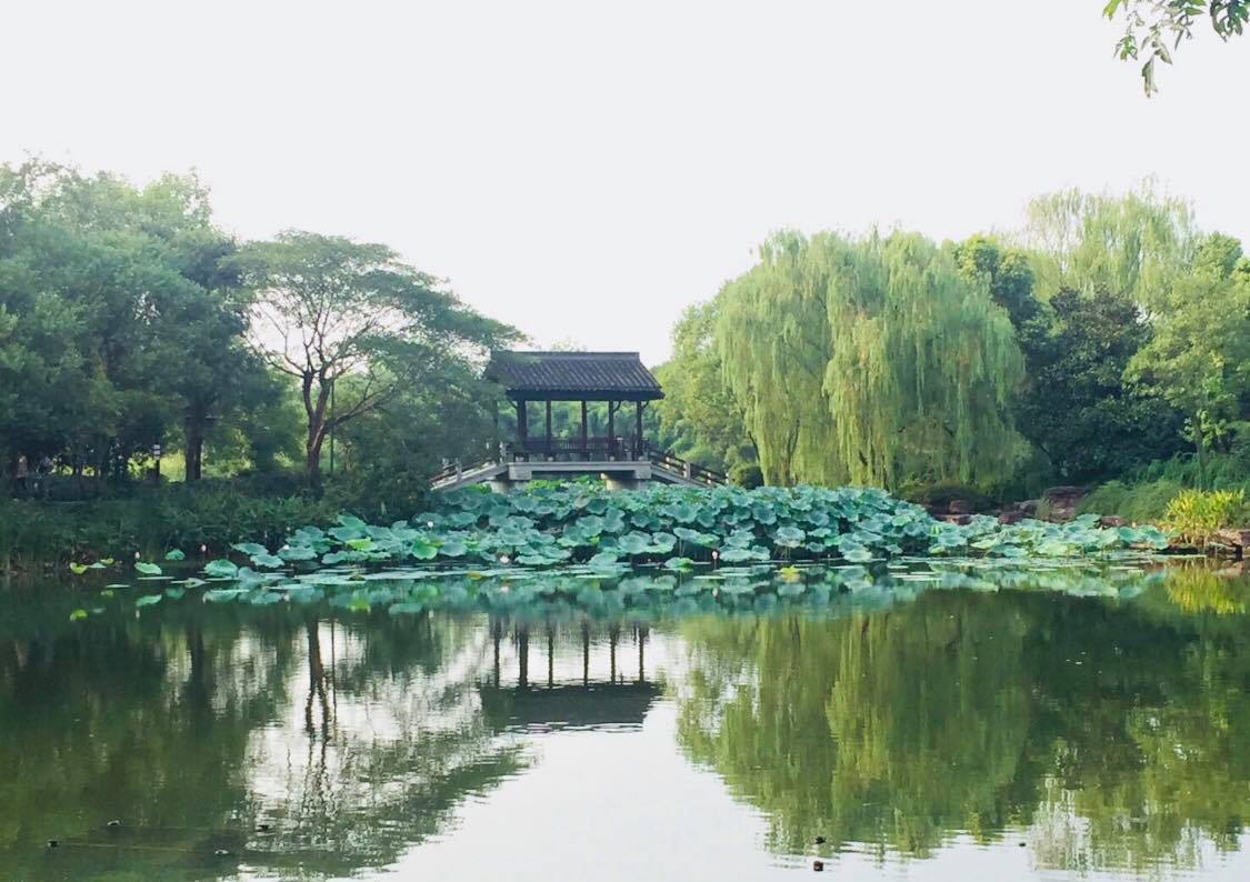 杭州西溪溼地