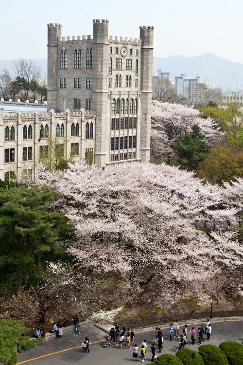 慶熙大學 來源:https://goo.gl/K75NKR