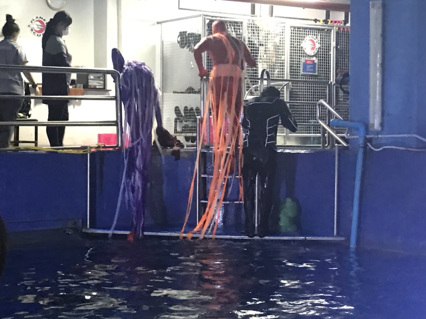 表演者表演結束離開水族箱的背影,圖片來源:KLOOK客路/Ann拍攝。