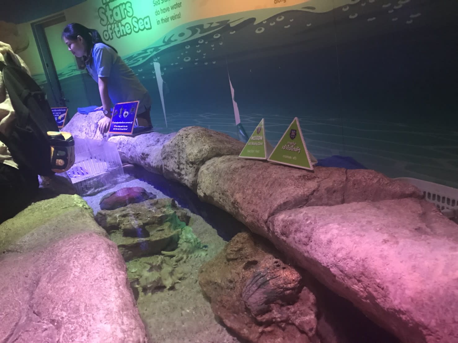 海底生物觸碰區,有許多不同的生物可以觸摸喔,圖片來源:KLOOK客路/Ann拍攝。