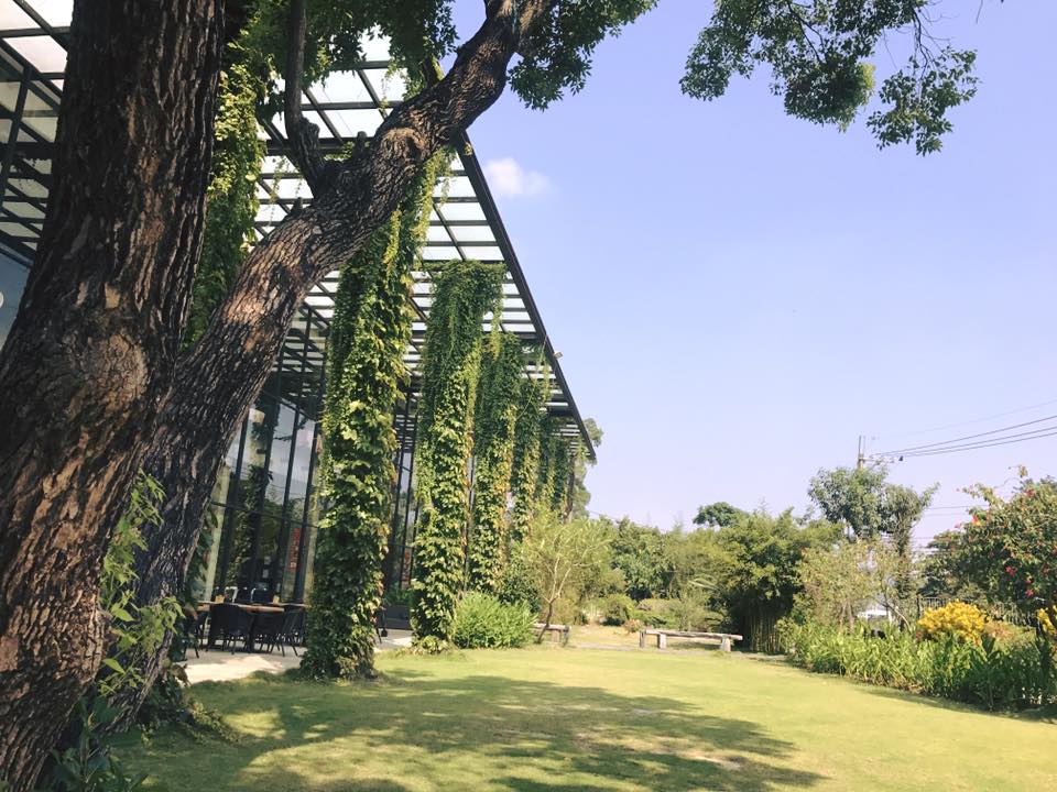 【2018 桐花季】五月賞油桐花必去景點、交通、行程、美食全攻略