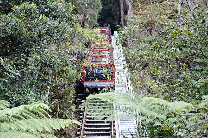 搭纜車俯瞰雪梨藍山 Blue Mountains行程、交通、景點全攻略 52度的紅色纜車