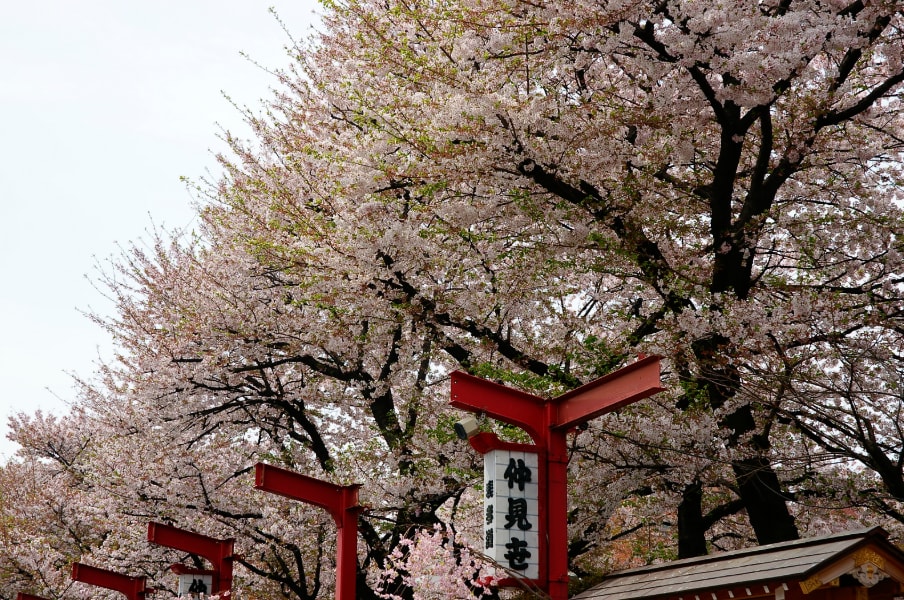 第一次到 東京淺草 !八大必玩行程 沒玩過別說你來過淺草 圖片取自flickr@Chun-Chih FAN