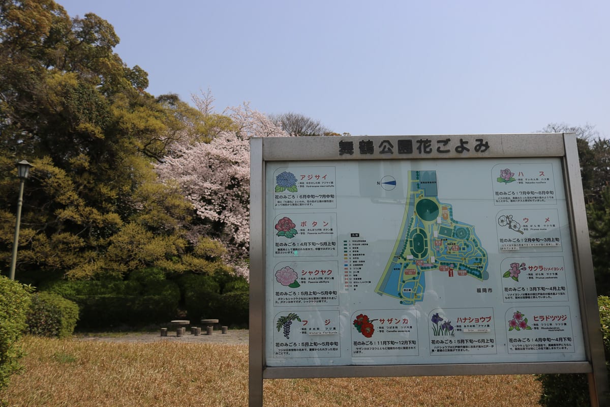 日本九州。攝影:老蝦 日本九州。攝影:老蝦