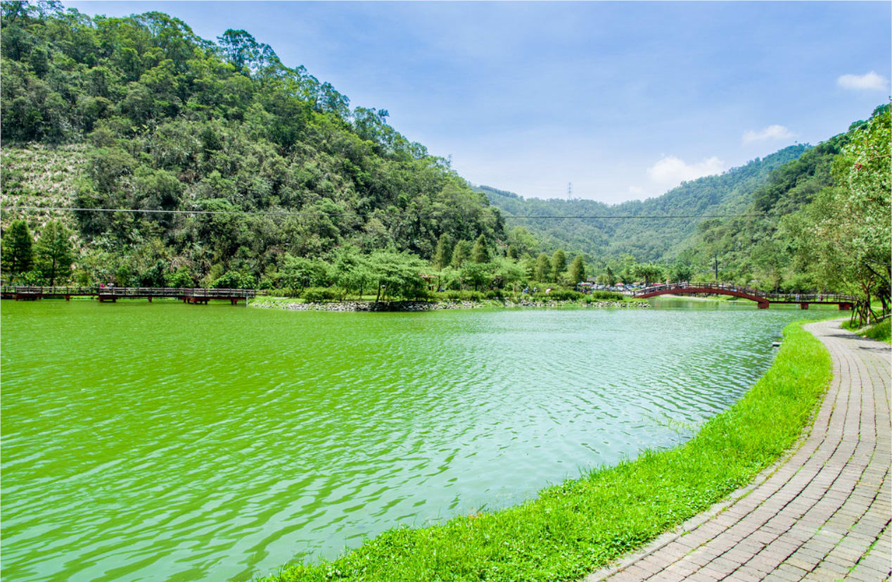 不要錯過的望龍埤美景。攝影:Rex。 不要錯過的望龍埤美景。攝影:Rex。