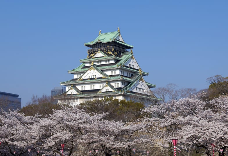 Khám phá Osaka chỉ khoảng 500K với thẻ Osaka Amazing Pass 4 Osaka Castle Tower is a representative building in Osaka, and it is beautiful with the flower season. (Image taken from gazoo.com)
